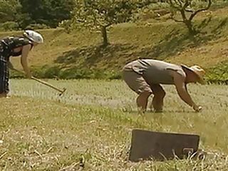 Get horny and fuck in Tokyo, Nippon's porn village